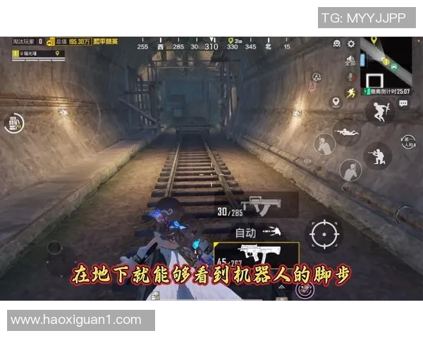 深度对话探索陈娜在和平精英中的成长与挑战人生旅程 深度对话探索陈娜在和平精英中的成长与挑战人生旅程